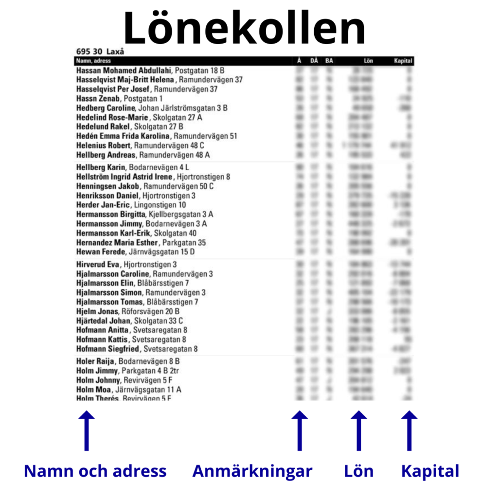 Lönekollen utdrag
